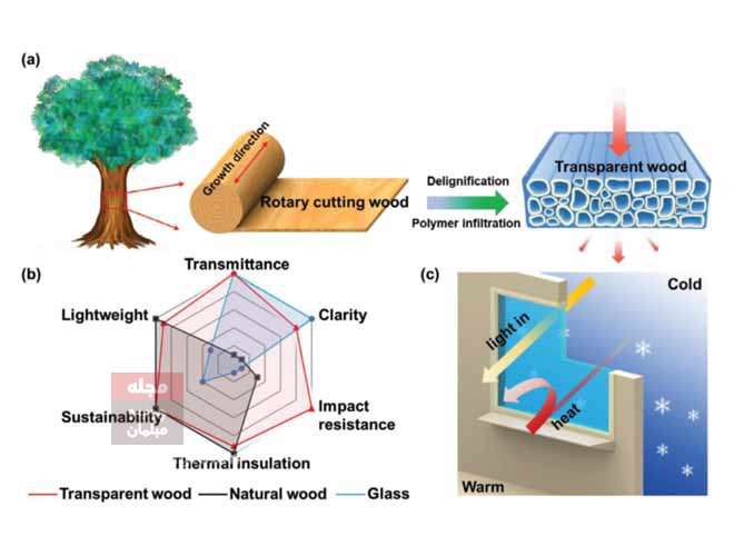 ساخت ماده‌ای شفاف و شیشه ‌مانند از چوب توسط محققان FPL